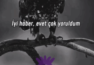 Afyonspor camiası, sosyal medyada yaptığı sürpriz “Başlıyoruz” paylaşımıyla taraftarlarını yeniden