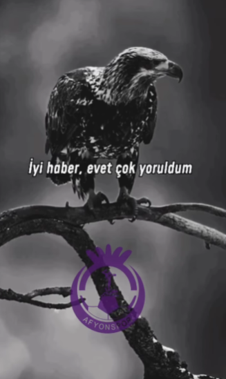 Afyonspor Kulübü:“BAŞLIYORUZ” Afyonspor camiası, sosyal medyada yaptığı sürpriz “Başlıyoruz” paylaşımıyla taraftarlarını yeniden