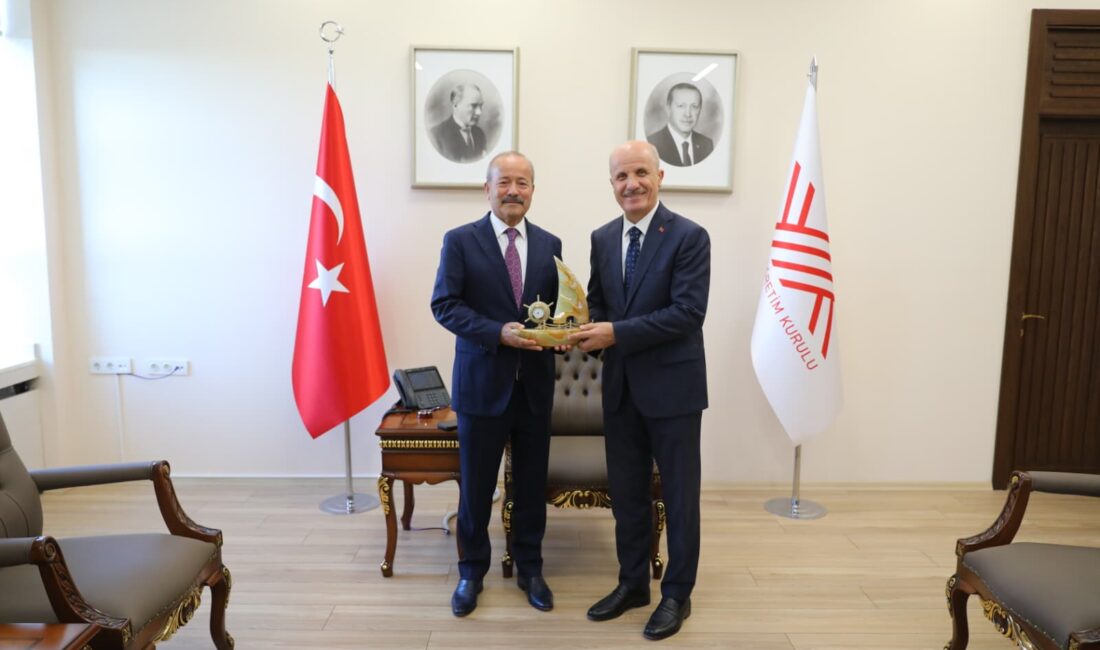Milliyetçi Hareket Partisi Afyonkarahisar Milletvekili Mehmet Taytak, Yükseköğretim Kurulu (YÖK)