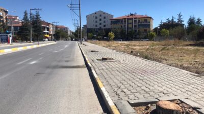 
Bolvadin’de bazı caddelerdeki ağaçların kesildiğine dair çıkan haberler üzerine Bolvadin