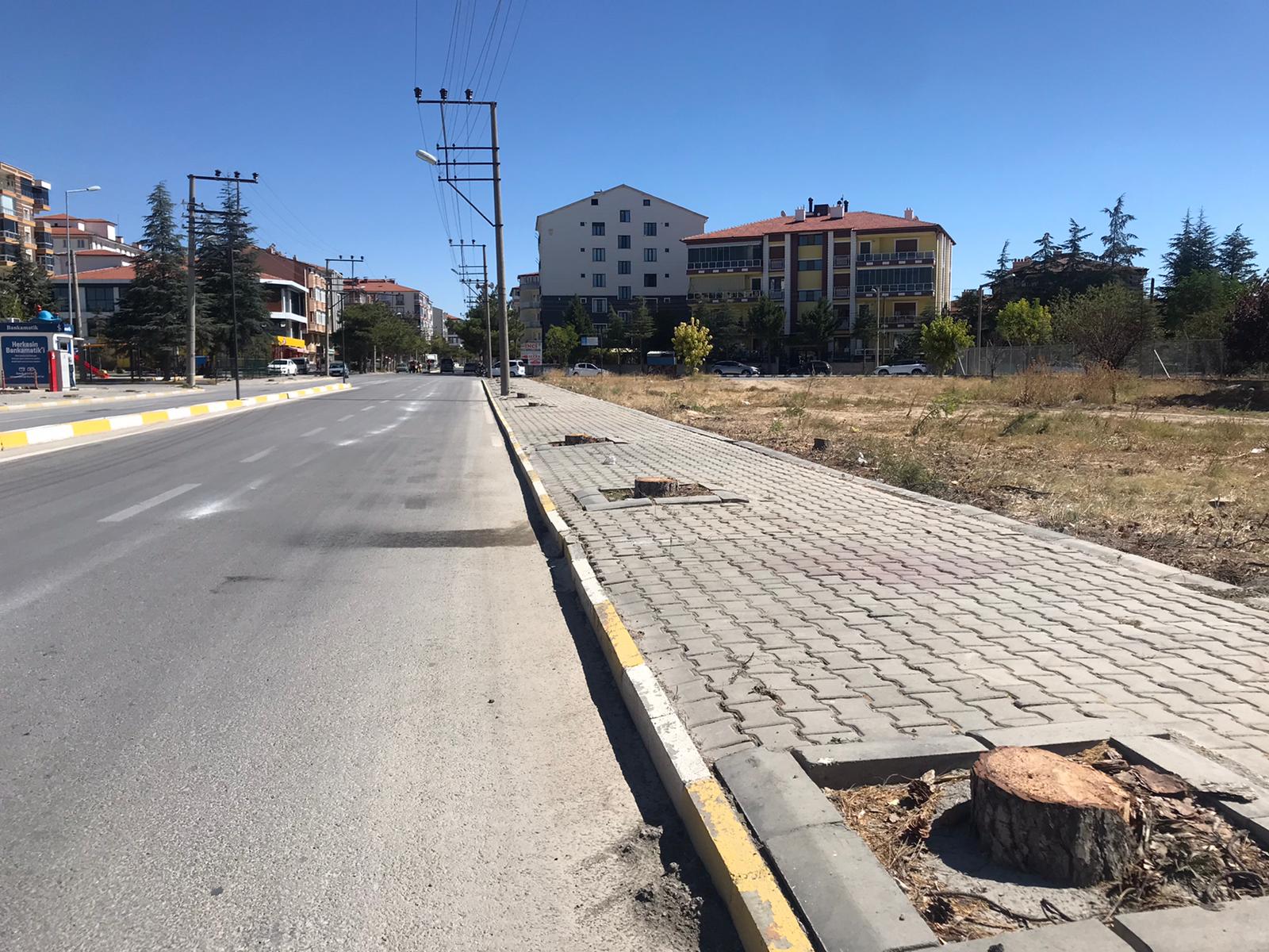
Bolvadin’de bazı caddelerdeki ağaçların kesildiğine dair çıkan haberler üzerine Bolvadin