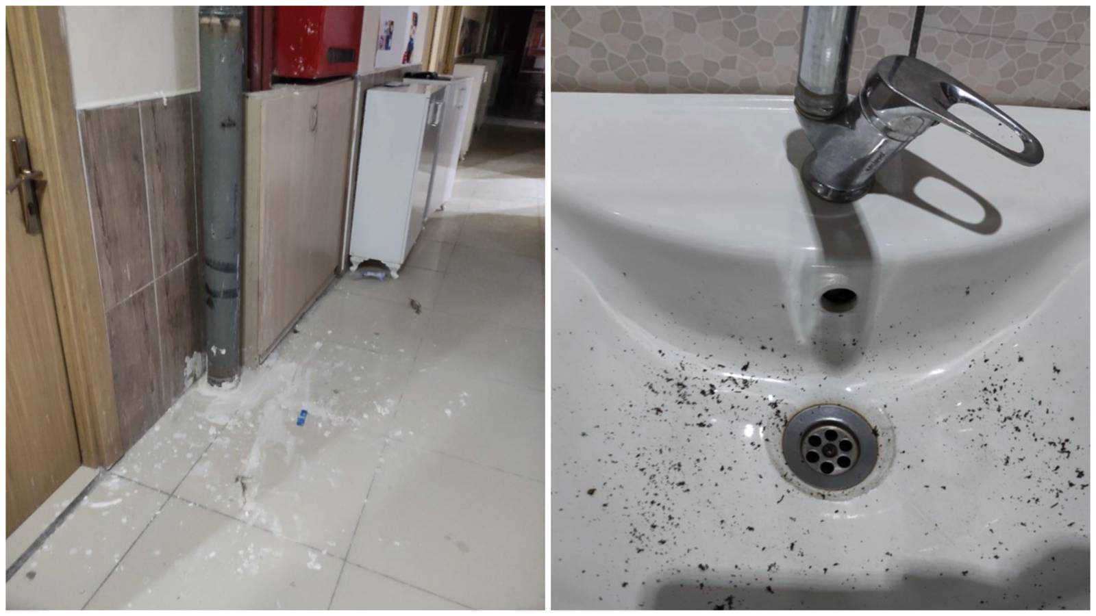 CHP Şanlıurfa Milletvekili Mahmut Tanal, Ağrı’daki KYK yurtlarında öğrencilerin hijyen