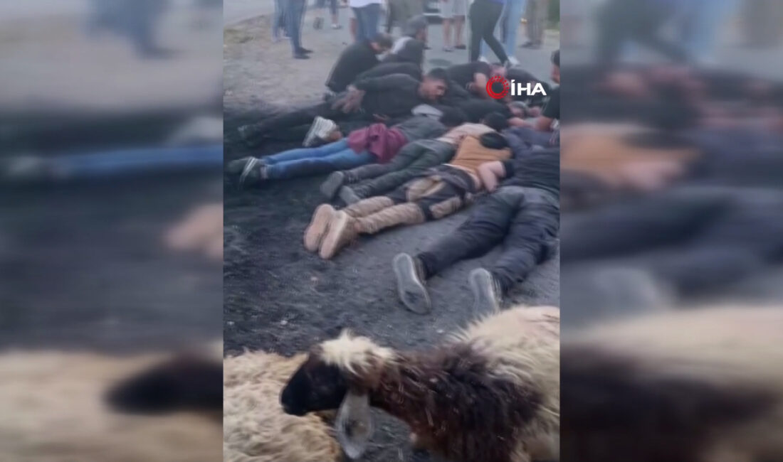 Hatay'ın Antakya ilçesinde, düzensiz göçmenleri taşıdığı belirlenen bir aracın koyun