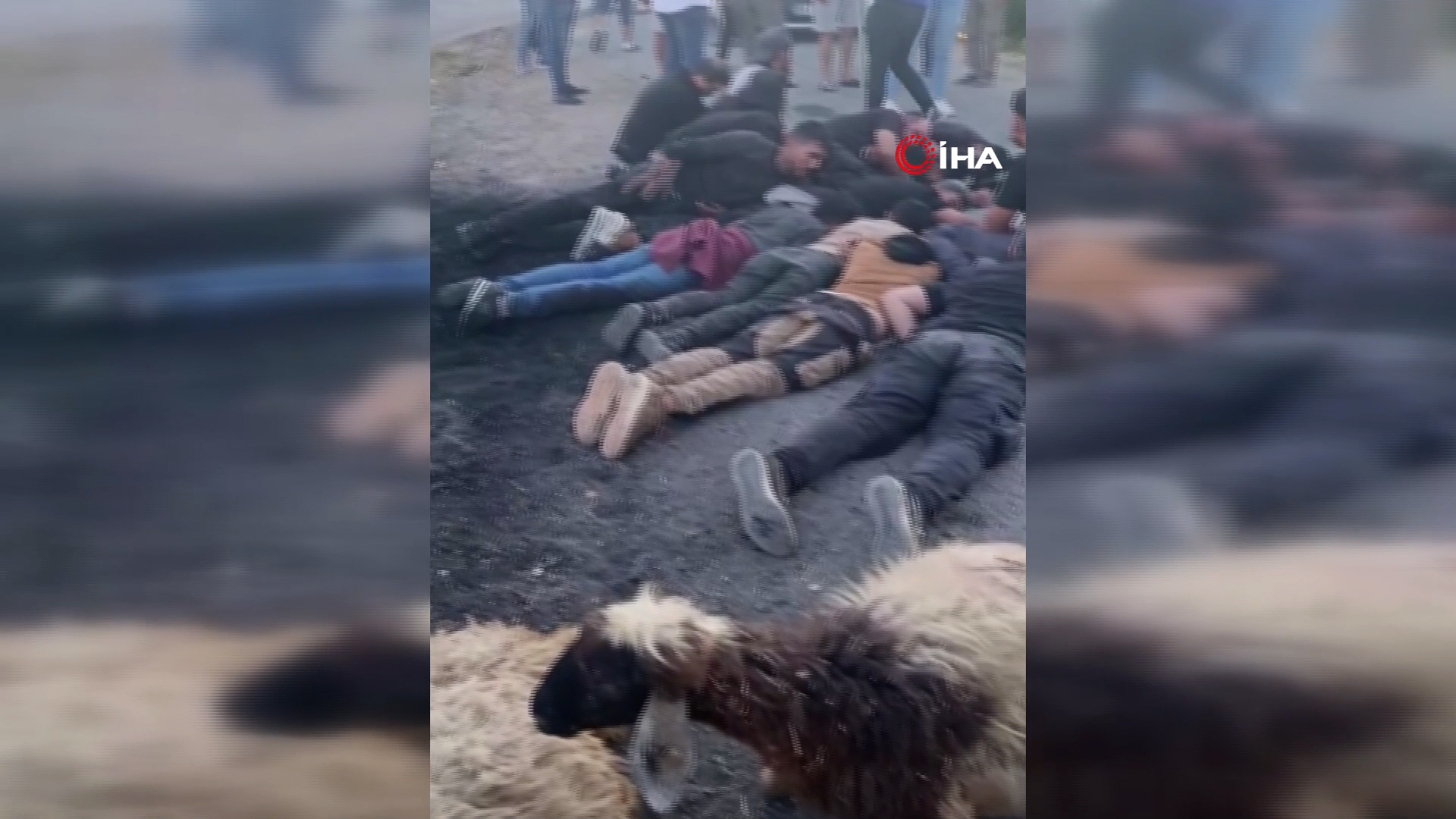 Hatay'ın Antakya ilçesinde, düzensiz göçmenleri taşıdığı belirlenen bir aracın koyun