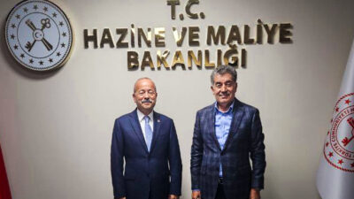 MHP Afyonkarahisar Milletvekili Mehmet Taytak, Hazine ve Maliye Bakan Yardımcısı