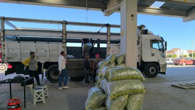 
Afyonkarahisar’ın Şuhut ilçesinde kurulan fasulye pazarı bu sezon bereketiyle dikkat