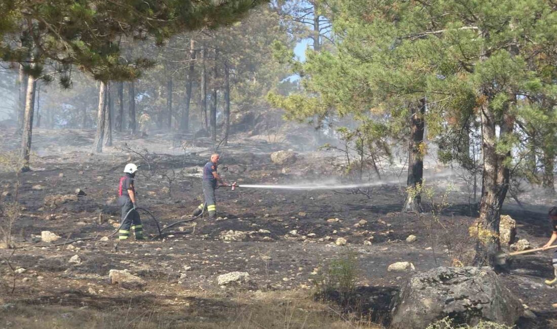 Kastamonu’nun Araç ilçesinde çıkan orman yangınlarına havadan helikopterler, karadan arazözler