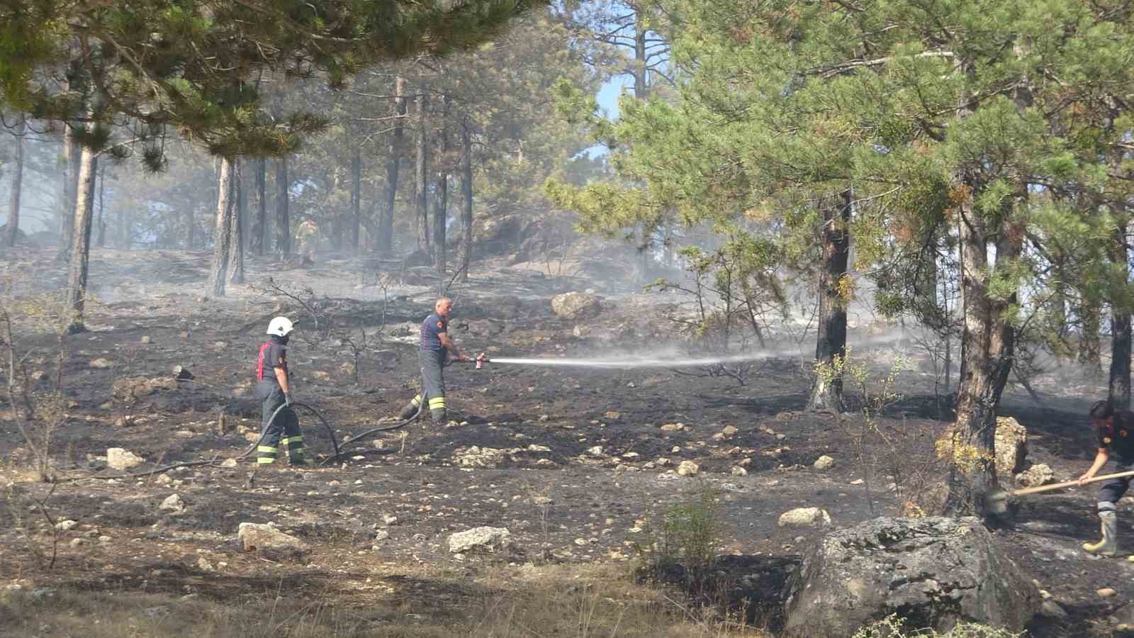 Kastamonu’nun Araç ilçesinde çıkan orman yangınlarına havadan helikopterler, karadan arazözler