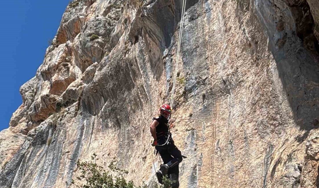 Dağlık alanda uçurumda mahsur kalan keçi, itfaiye ekiplerinin yaklaşık 45