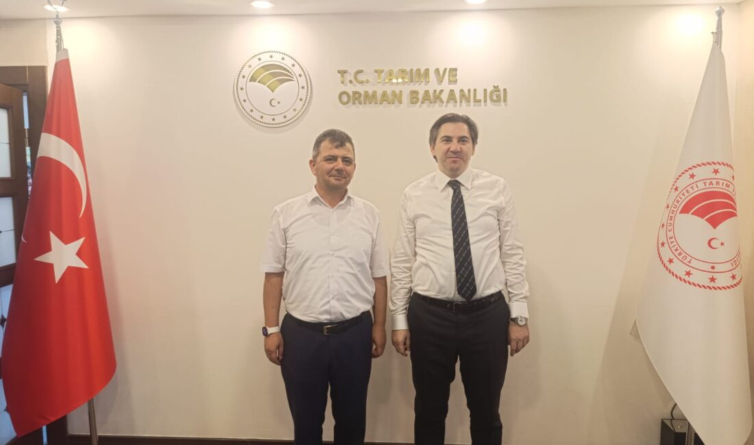 Emirdağ Belediye Başkanı Serkan Koyuncu, Tarım ve Orman Bakan Yardımcısı