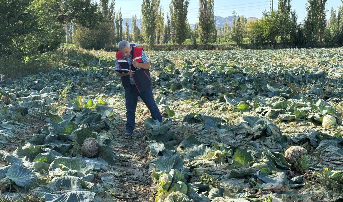 Afyonkarahisar İl Tarım ve Orman Müdürlüğü, 2025 üretim yılı kapsamında
