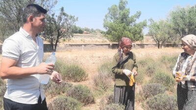 Afyonkarahisar’ın Evciler ilçesinde köy tüzel kişiliğine ait 8 dekarlık araziye