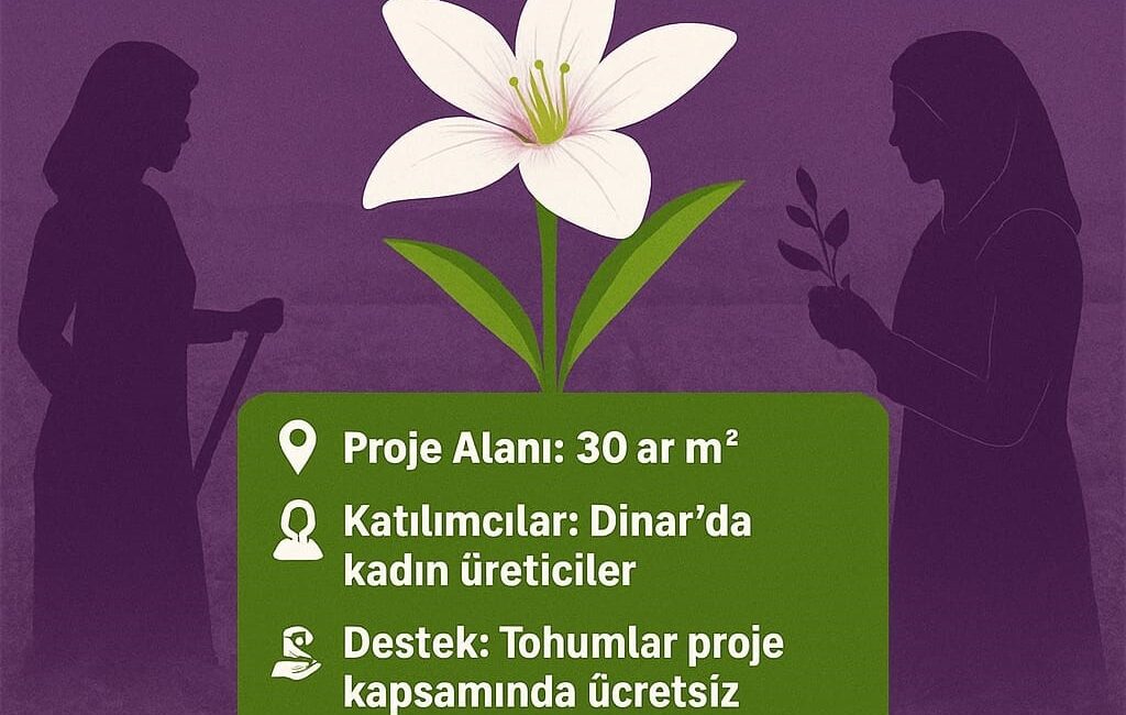 Kadın çiftçiler için ‘Salep Yetiştiriciliği’ projesi başlatıldı Afyonkarahisar’ın Dinar ilçesinde kadın çiftçilere yönelik ‘Salep Yetiştiriciliği’ projesi başvuruları