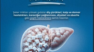 Afyonkarahisar İl Sağlık Müdürlüğü, obezite, diyabet, kalp-damar hastalıkları ve hipertansiyon