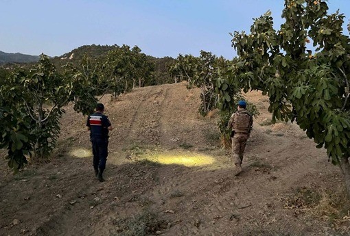   Aydın’da jandarma ekipleri ürün hırsızlığının önlenmesi kapsamında incir bahçelerinde