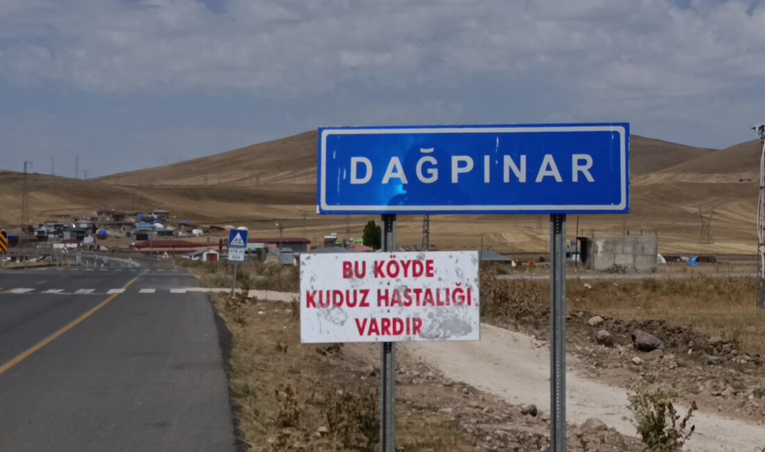 Kars’ın Digor ilçesine bağlı Dağpınar beldesinde kuduz paniği yaşanıyor. Hayvanlarını