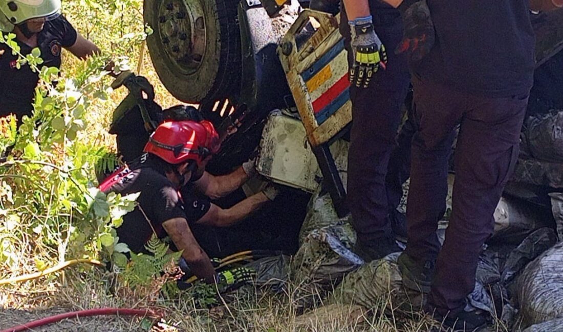 Zonguldak'ın Çaycuma ilçesinde, ihtiyaç sahiplerine kömür dağıtımı yapan bir kamyonun