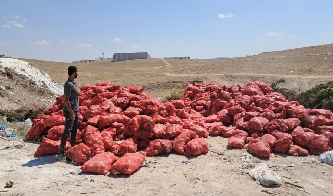 Karaman’da Organize Sanayi Bölgesi’nde tonlarca kuru soğan boş araziye atıldı.