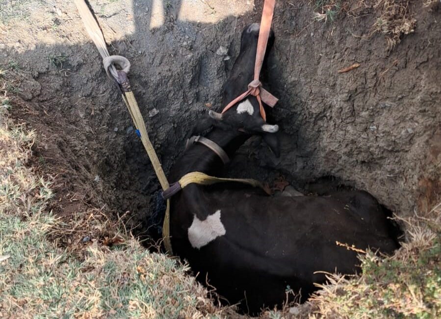 Burdur’un Çavdır ilçesine bağlı Yazır köyünde, yaklaşık 2,5 metre derinliğindeki