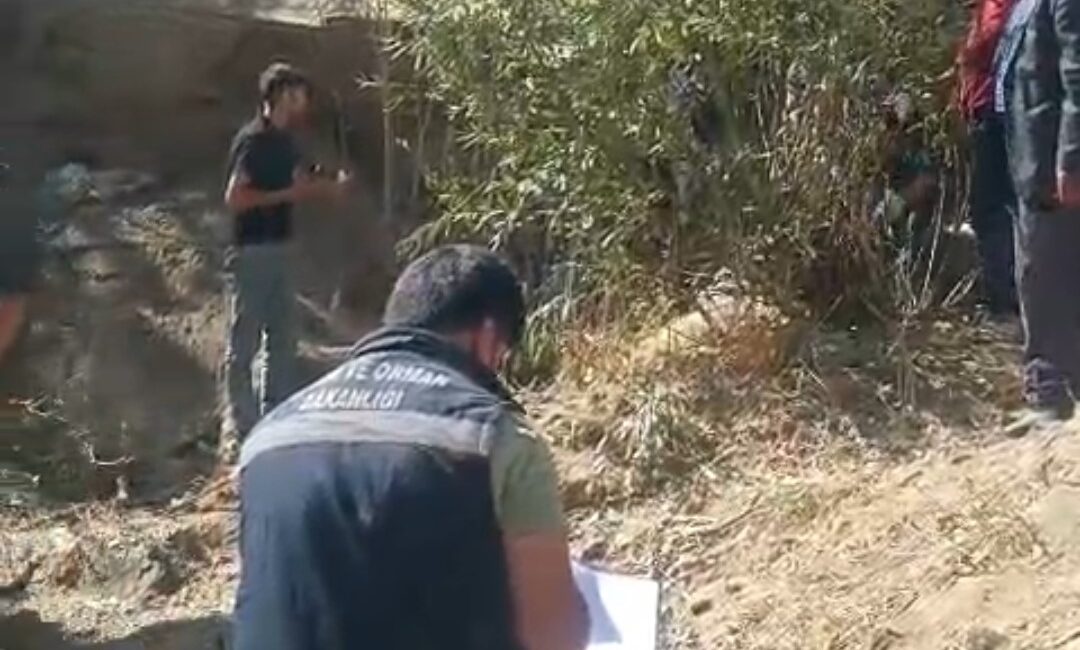 Van’ın Çatak ilçesinde büyük bir hayvan kaybı yaşandı. Çılga Mahallesi