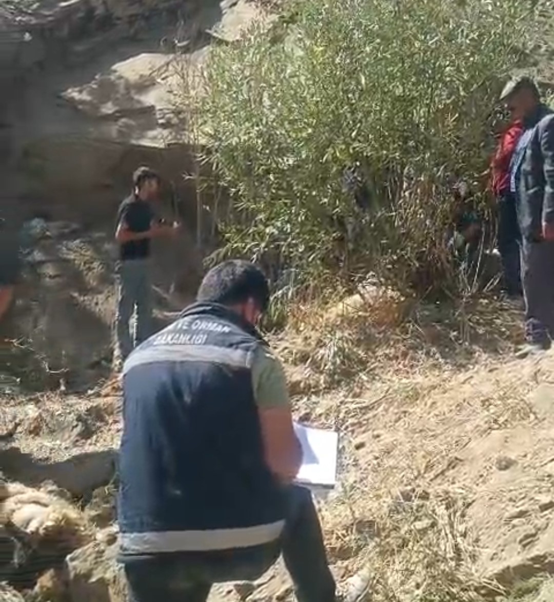 Van’ın Çatak ilçesinde büyük bir hayvan kaybı yaşandı. Çılga Mahallesi