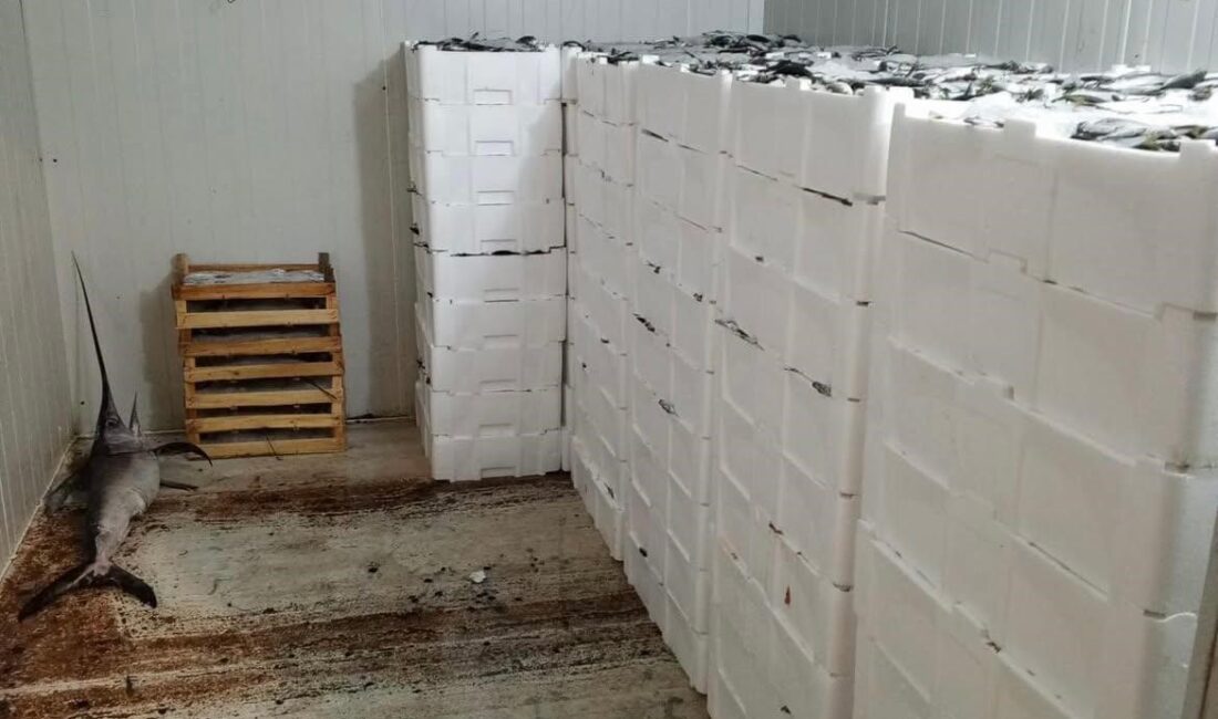 Denetimde Kilolarca Balığa El Konuldu Tarım ve zabıta ekipleri tarafından yapılan denetimde, boy limitine uygun