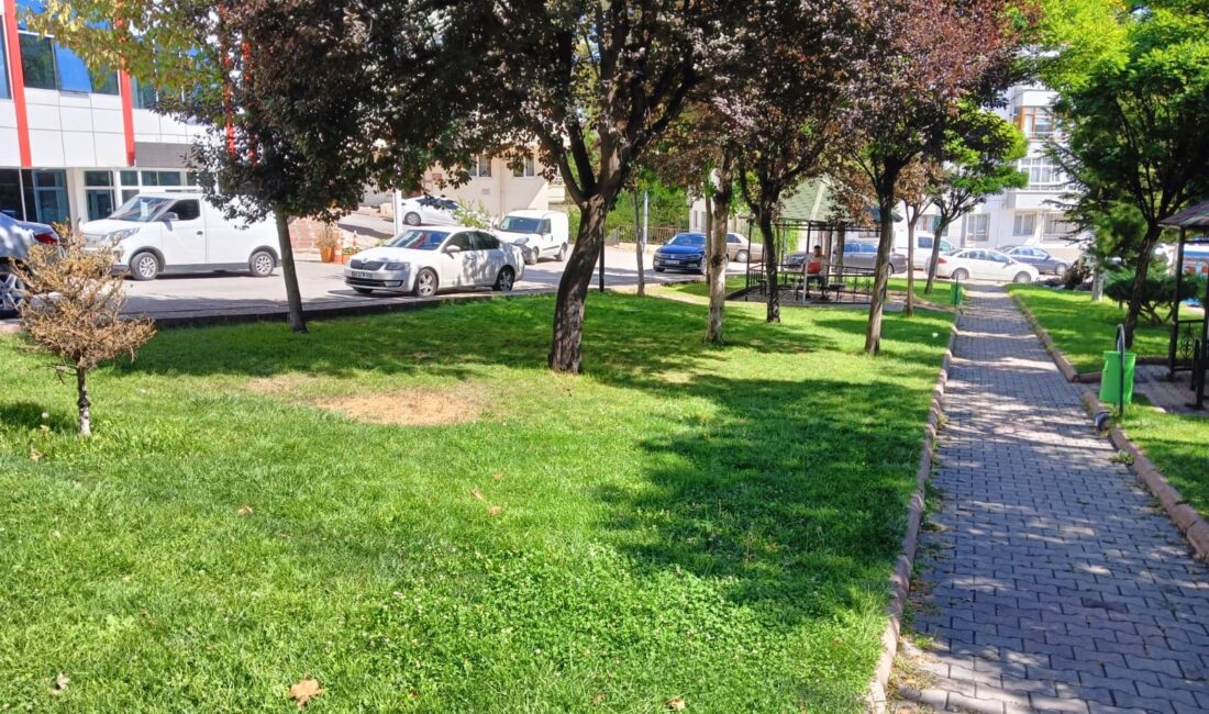 Ankara Pursaklar’da bir parkta 15 yaşındaki Fatih Acacı, yaşıtı D.G.