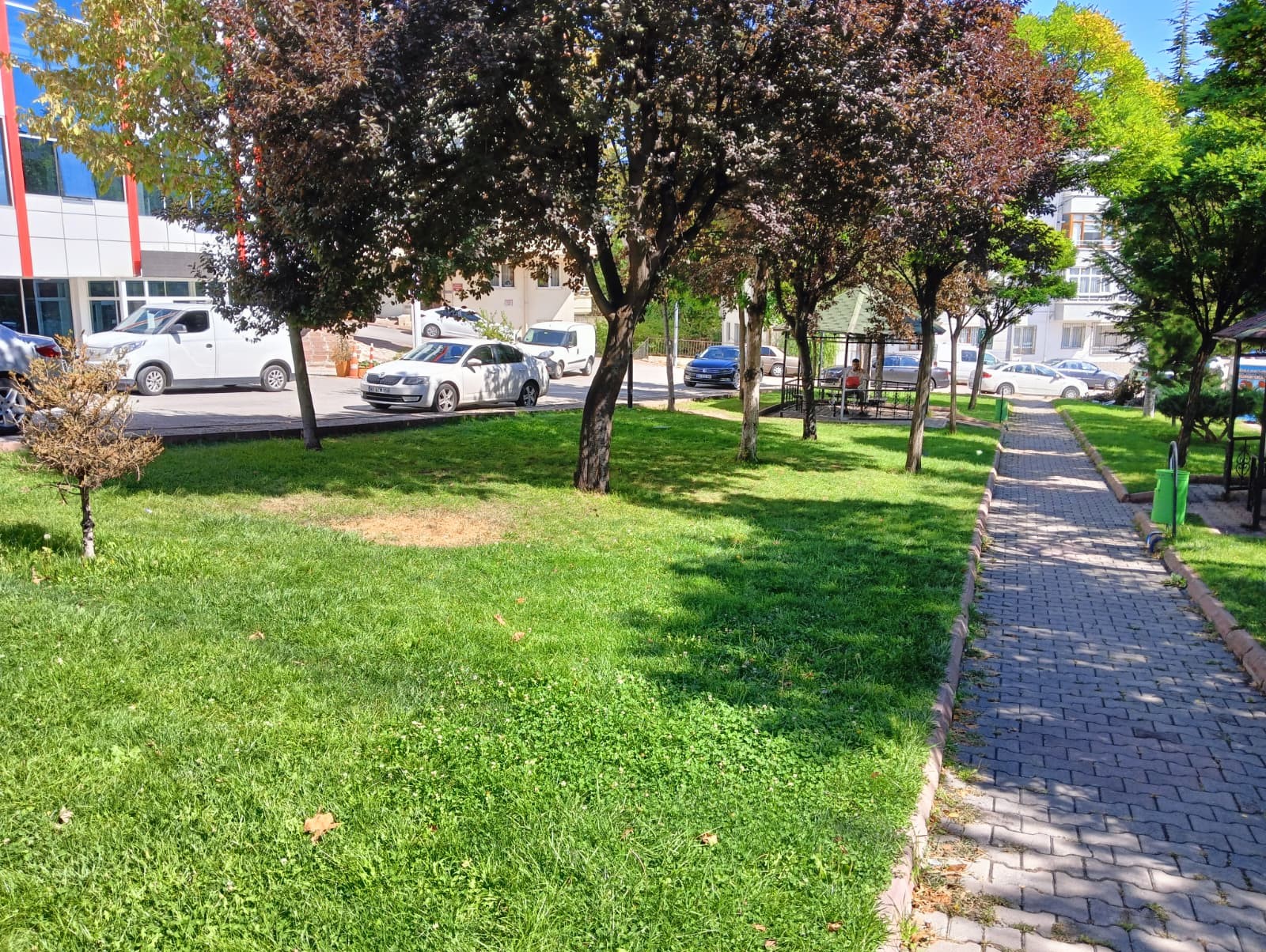 Ankara Pursaklar’da bir parkta 15 yaşındaki Fatih Acacı, yaşıtı D.G.