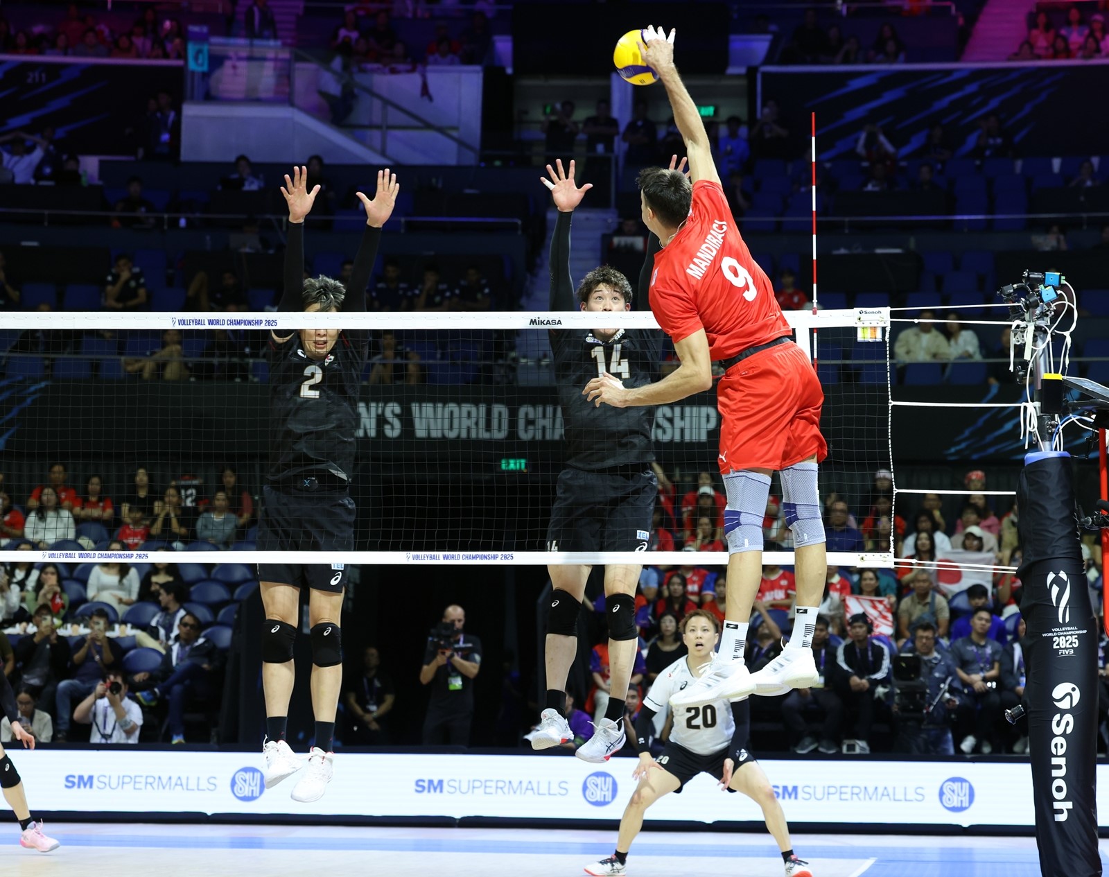 A Milli Erkek Voleybol Takımı, FIVB Erkekler Dünya Voleybol Şampiyonası