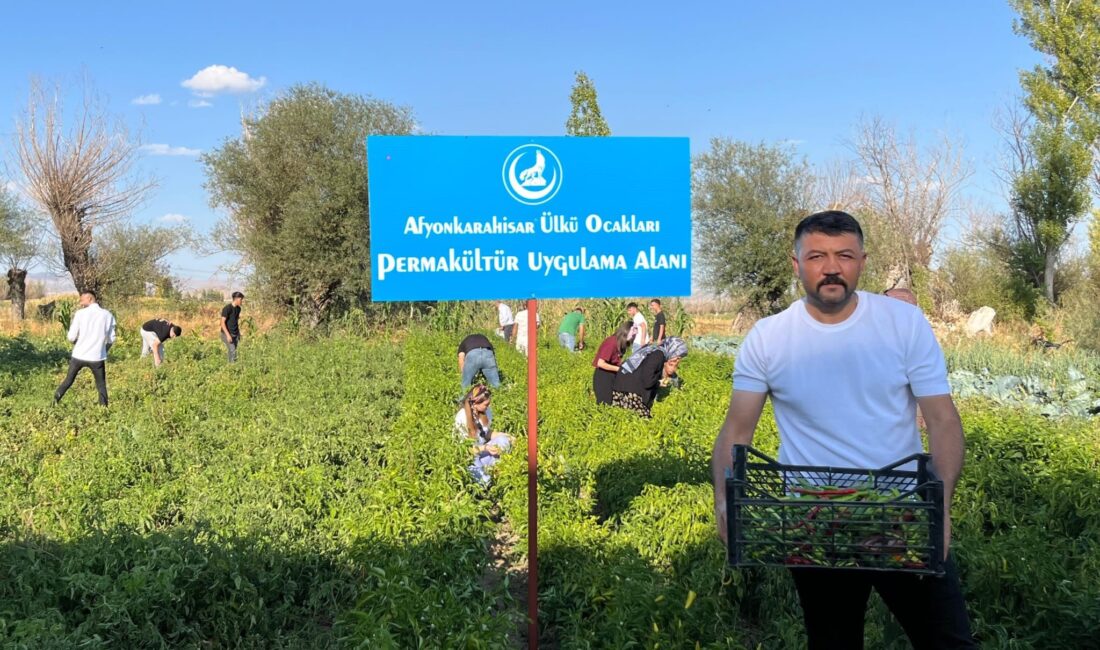 Afyonkarahisar Ülkü Ocakları İl Başkanı Mesut Çetinkaya, Asena ve Ortaöğretim