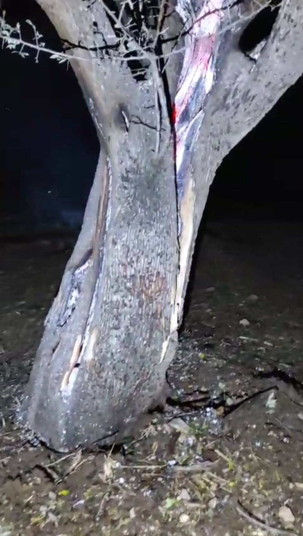 Afyonkarahisar’ın Şuhut ilçesine bağlı Başören köyünde gece saatlerinde şiddetli yağış