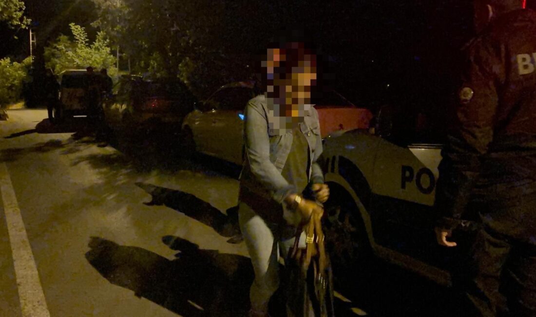 Kayseri’nin Hacılar ilçesinde, İnecik Mahallesi Beğendik Caddesi’nde bir kadın, alkol