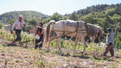 Torosların dik yamaçları üzerine kurulu Konya'nın Hadim ilçesinde, eylül ayının