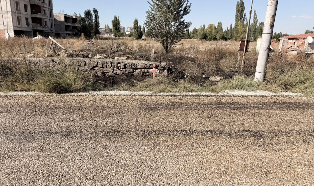 Afyonkarahisar'da yaktığı otların içerisine düşen yaşlı adam hayatını kaybetti.