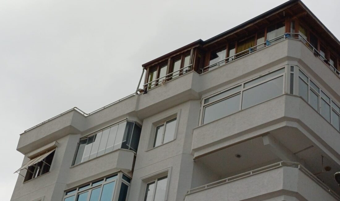 Yalova’nın Çınarcık ilçesinde 51 yaşındaki sanatçı Güllü (Gül Tut), evinin