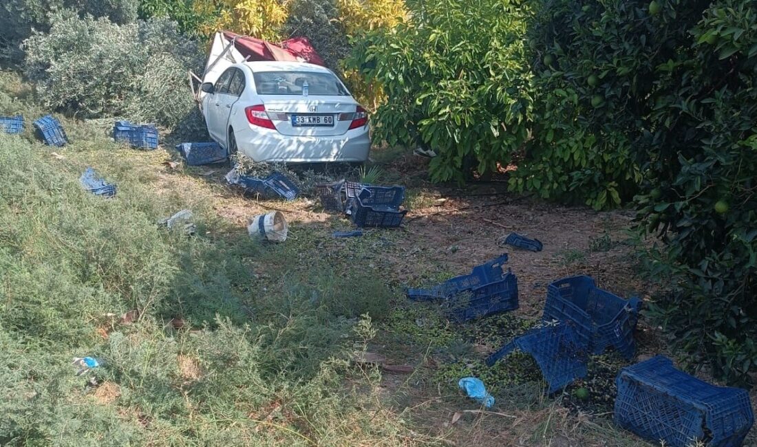 Mersin’in Silifke ilçesinde, bahçede zeytin hasadı yapan işçilerin arasına otomobil