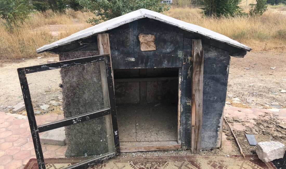 Eskişehir cinayete kurban giden Hasan Hüseyin Dogruk'un kuşlara beslemek amaçlı kullandığı