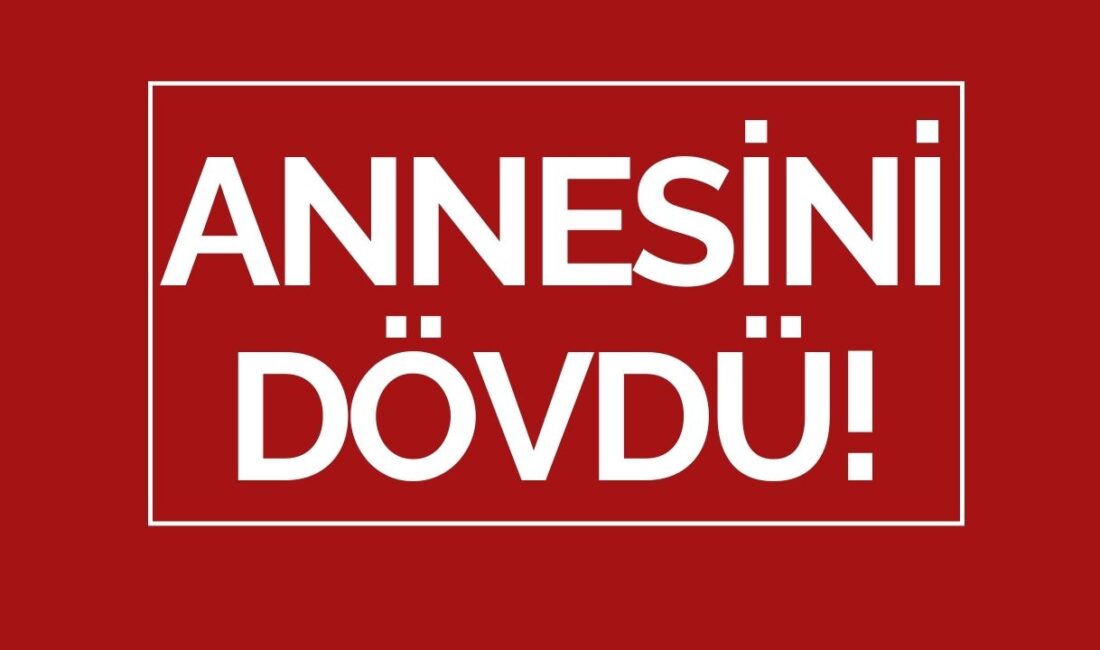Samsun'un İlkadım ilçesinde annesini darbedip tehdit ettiği öne sürülen bir