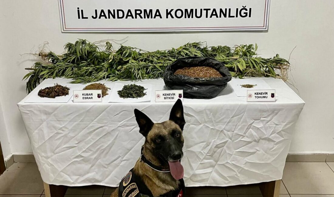 Afyonkarahisar İl Jandarma Komutanlığı ekipleri, İhsaniye ilçesine bağlı Üçlerkayası köyünde