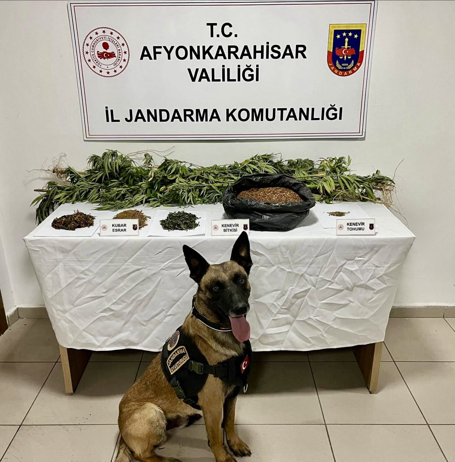 Afyonkarahisar İl Jandarma Komutanlığı ekipleri, İhsaniye ilçesine bağlı Üçlerkayası köyünde