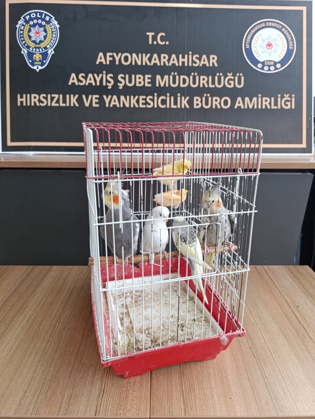 Afyonkarahisar Emniyet Müdürlüğü'nün 1-8 Eylül tarihleri arasında il genelinde düzenlediği