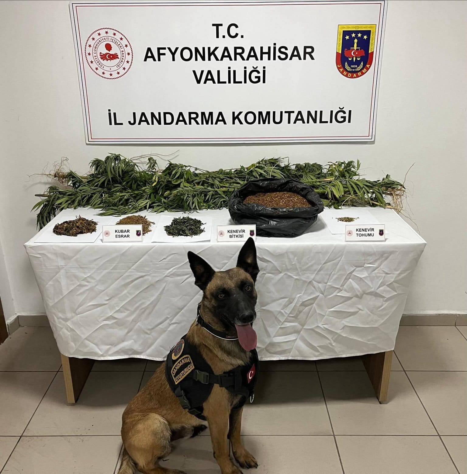 Afyonkarahisar İl Jandarma Komutanlığı tarafından son bir haftada düzenlenen operasyonlarda