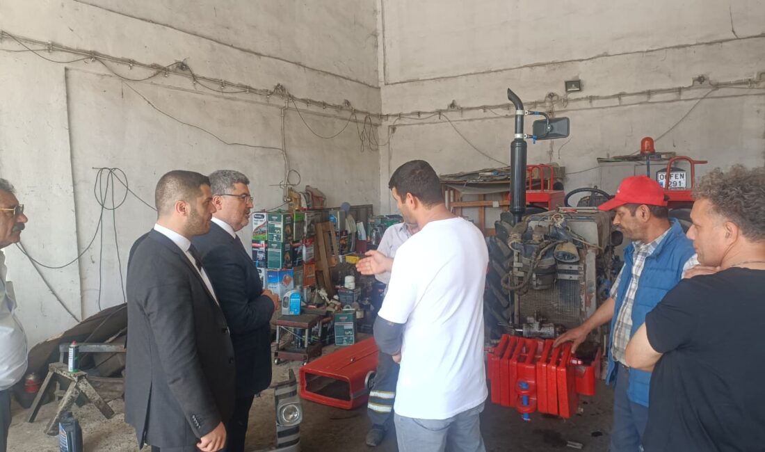 AK Parti Afyonkarahisar Milletvekili Ali Özkaya, AK Parti Genel Merkez