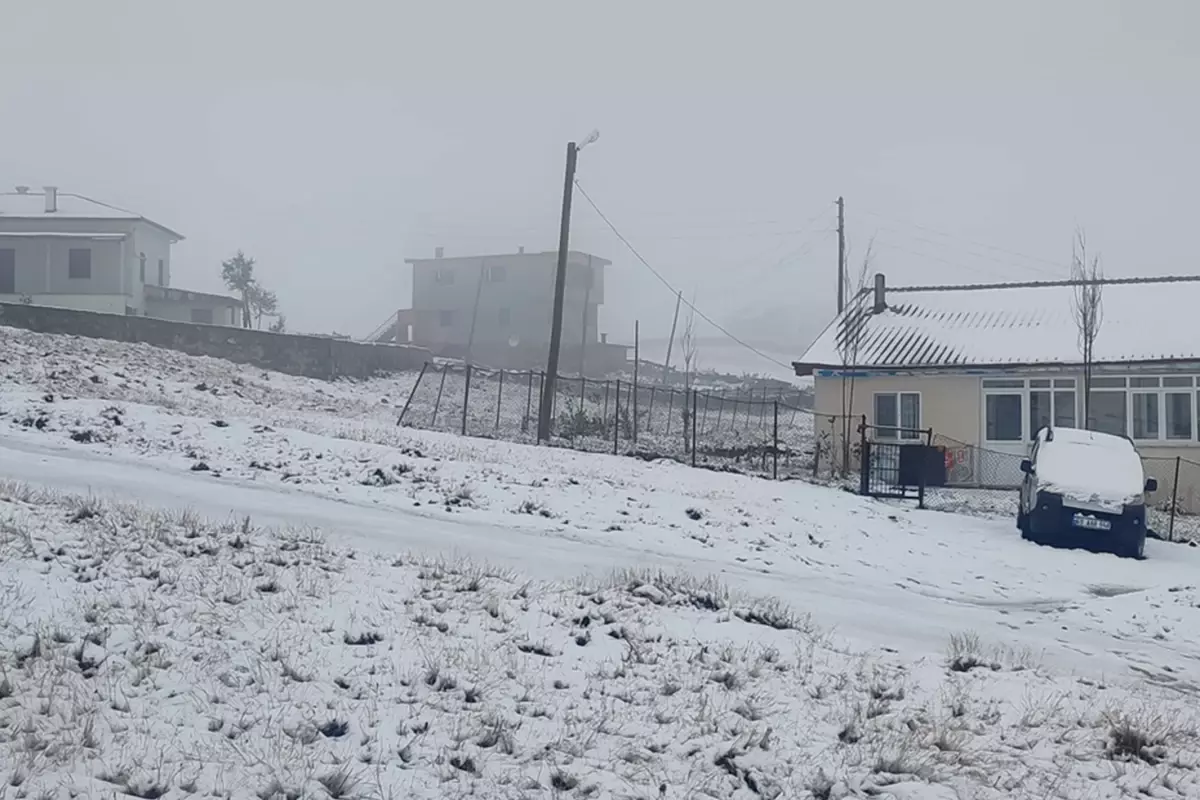 Karadeniz ve Doğu Anadolu'nun yüksek kesimlerinde etkili olan kar yağışı,