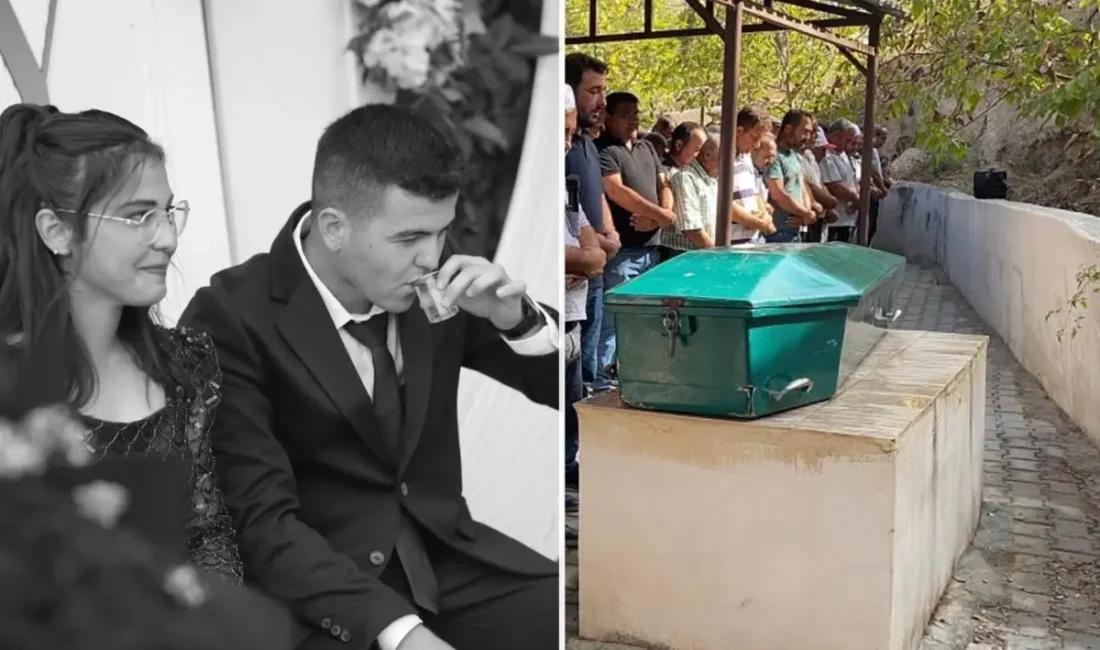 Mersin Erdemli’de ceviz toplarken elektrik akımına kapılan 22 yaşındaki Yusuf