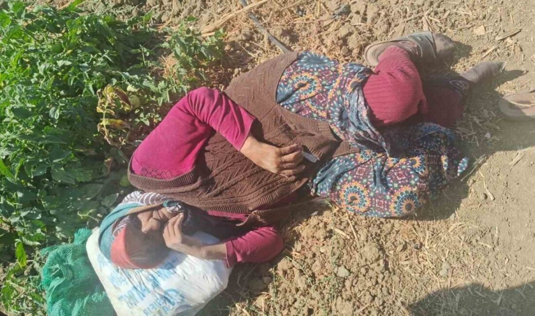 Eskişehir’de Alzheimer hastası 74 yaşındaki Hatun Işıksoy, evinden ayrıldıktan sonra