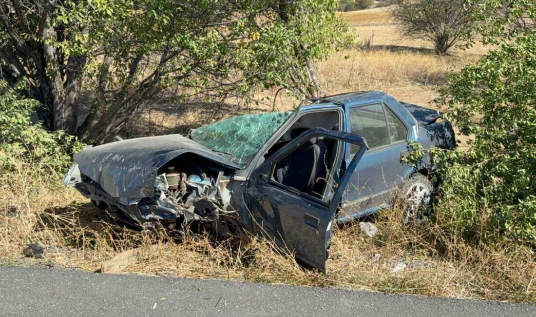 Afyonkarahisar’ın Bolvadin ilçesi çıkışında meydana gelen kazada, A.B.S. idaresindeki 26 