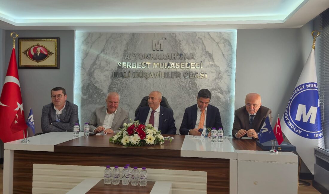 Türkiye Serbest Muhasebeci ve Mali Müşavirler Odaları Birliği (TÜRMOB) Genel