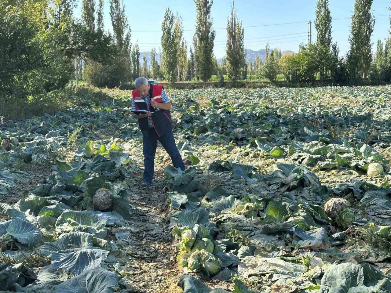 Afyonkarahisar’da, hasat verimliliği ve ürün kalitesini artırmak amacıyla tarım ürünleri