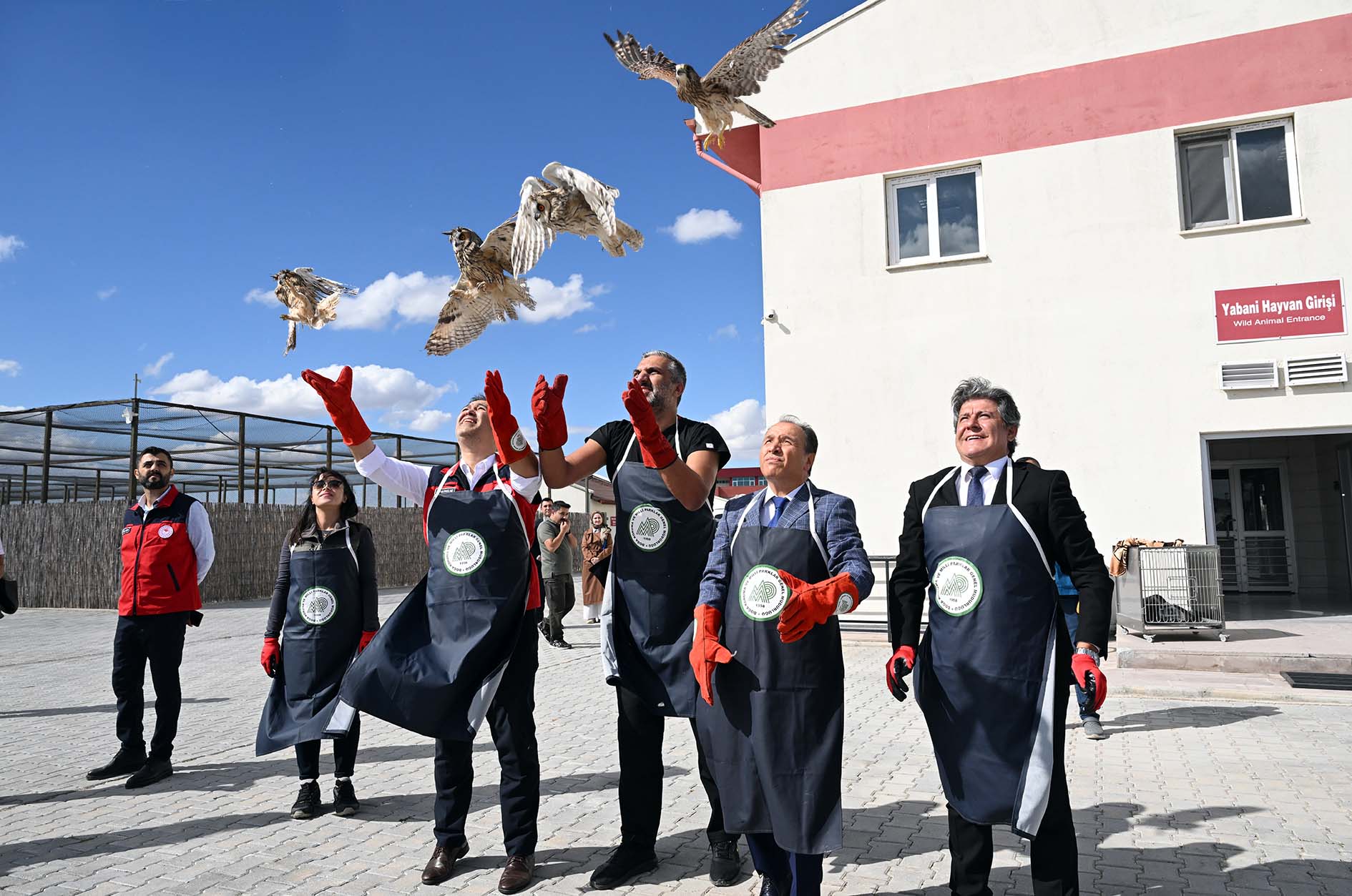 Afyon Kocatepe Üniversitesi (AKÜ) Yaban Hayatını Kurtarma, Rehabilitasyon, Eğitim, Uygulama
